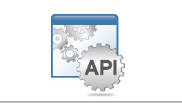 API Debugging and Testing Tool